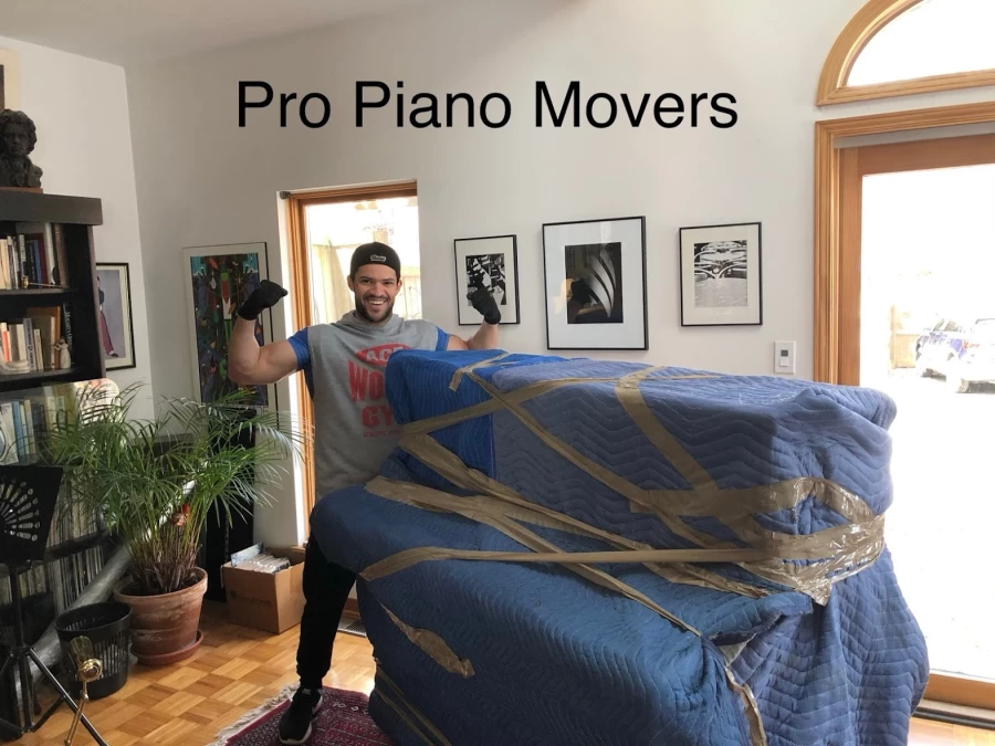 Pronto Movers Inc_4