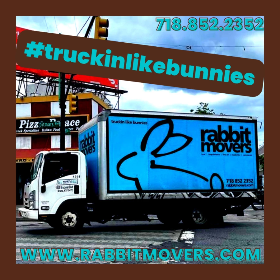 Rabbit Moving & Storage_3