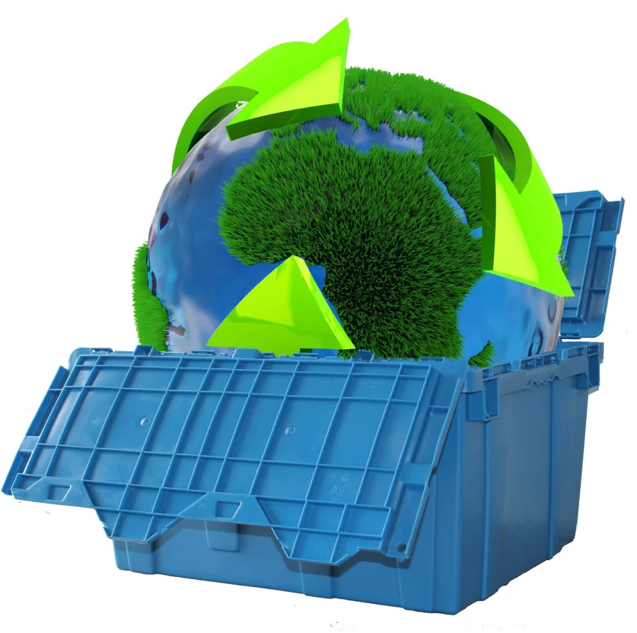 Rainforest Moving and Storage_3