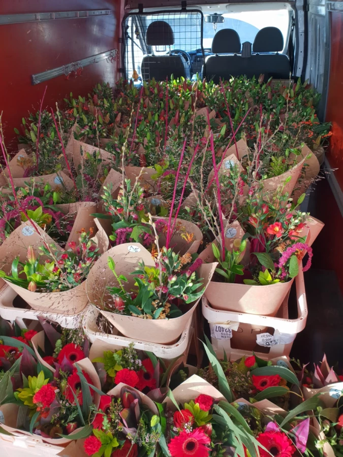 Raketenbob Umzüge_4