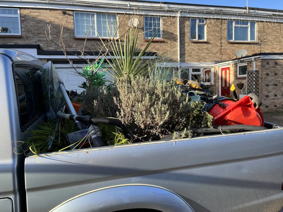 Removals Expert_4
