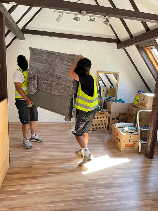 Rhein Neckar Movements _4