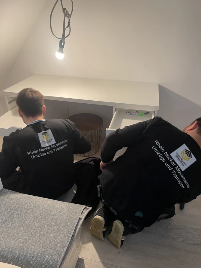 Rhein Neckar Movements _5