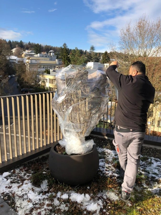 Rössli Umzug GmbH_4