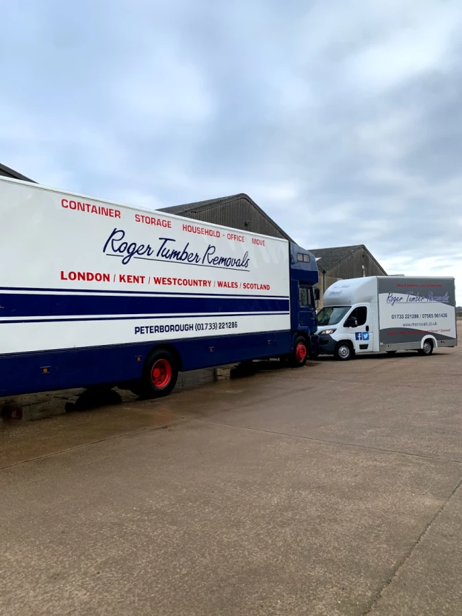 Roger Tumber Removals_2