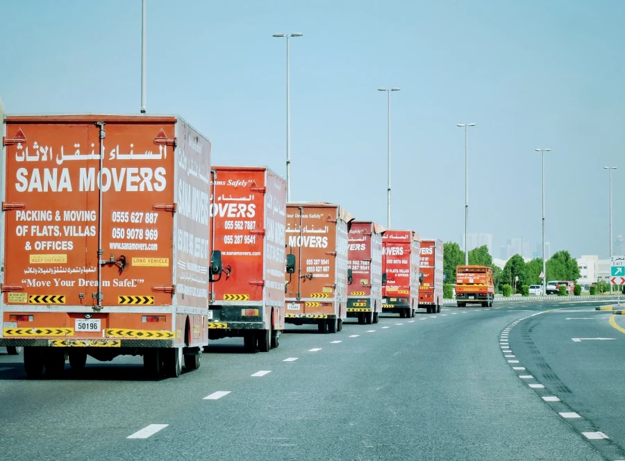 Sana Movers_3