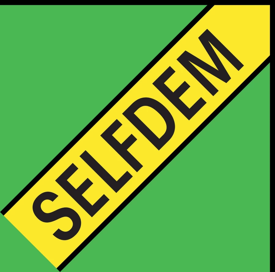 Selfdem_4