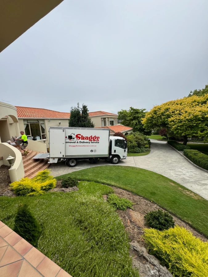 Shaggy Removalist_2