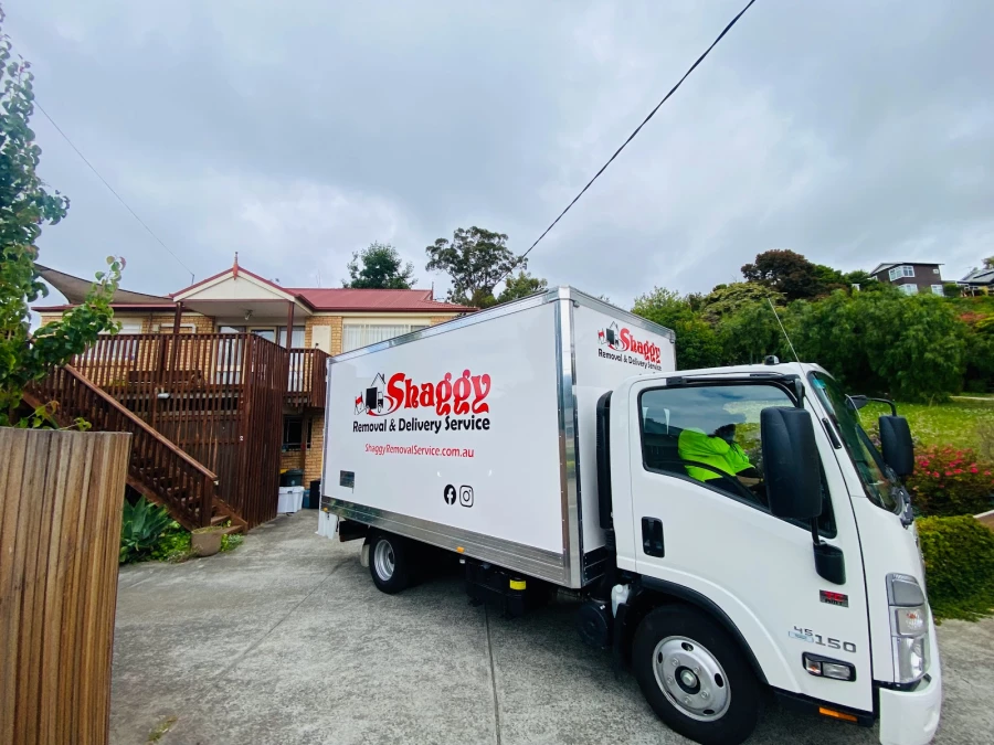 Shaggy Removalist_3