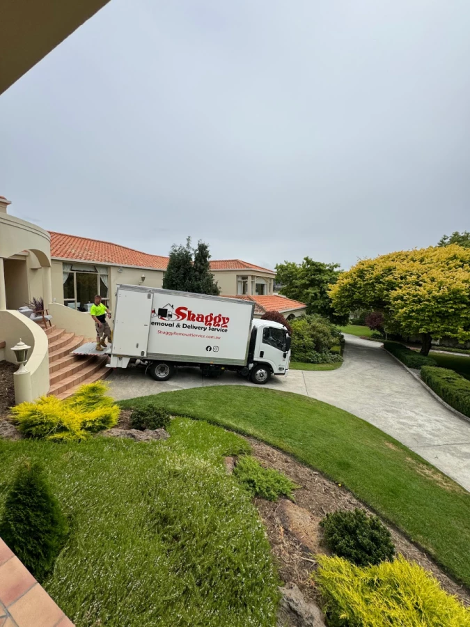 Shaggy Removalist_5