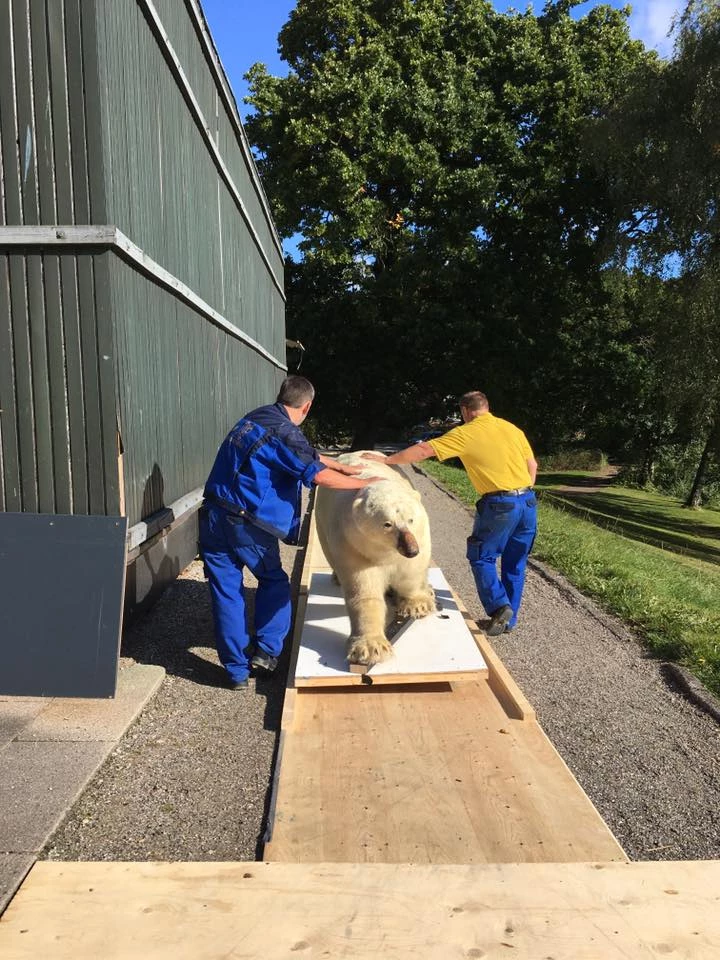 Skive Flytteforretning ApS_2