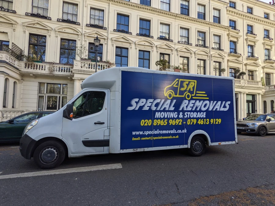Special Removals_1