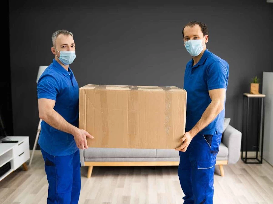 Standard Movers_5