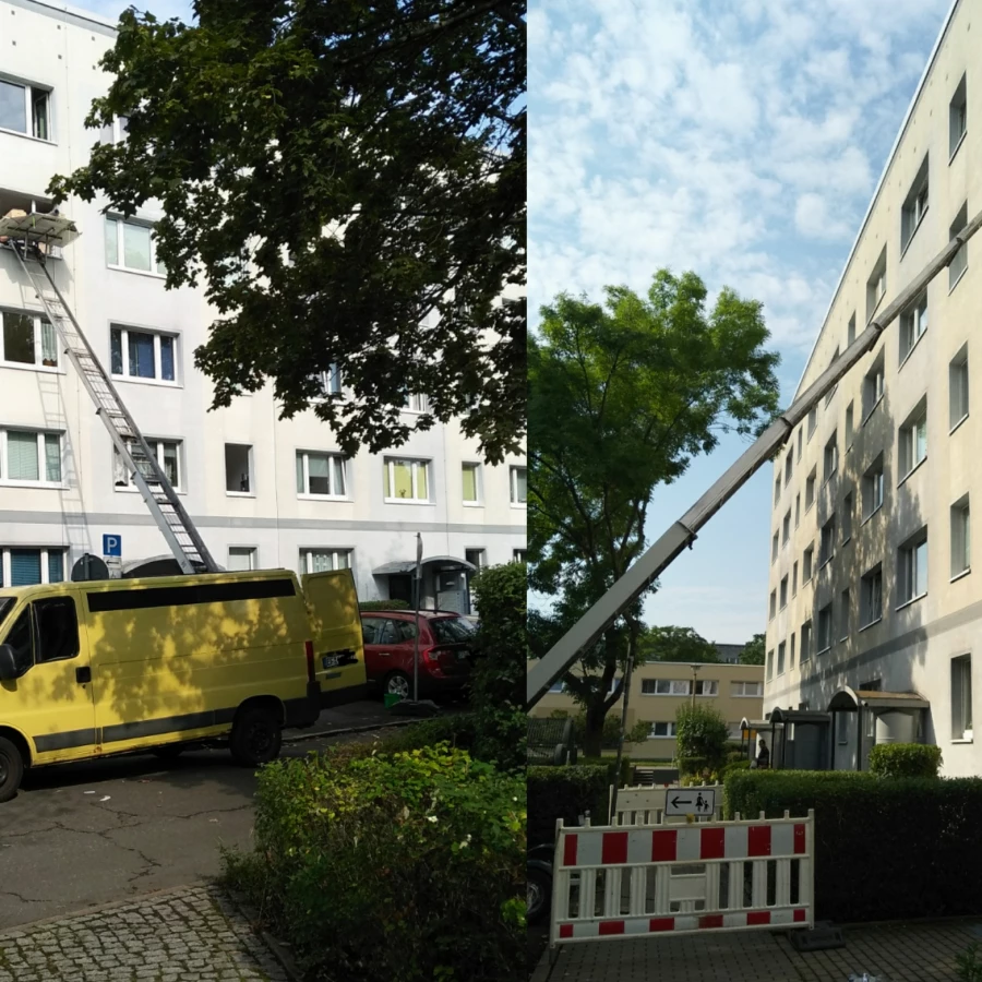 Starke Bienen im Einsatz.. Haus- & Dienstleisungsservice Neumann_1