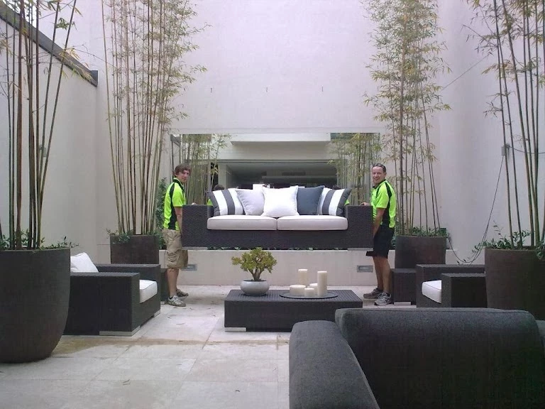Sydney Domain Furniture Removals_5