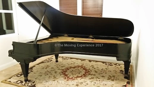 The Moving Experience_2