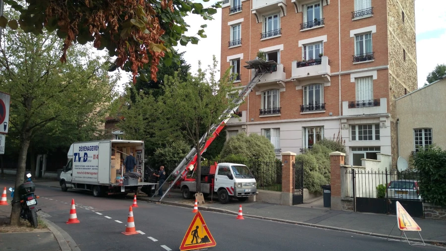 Trans Ville Dispatch_5