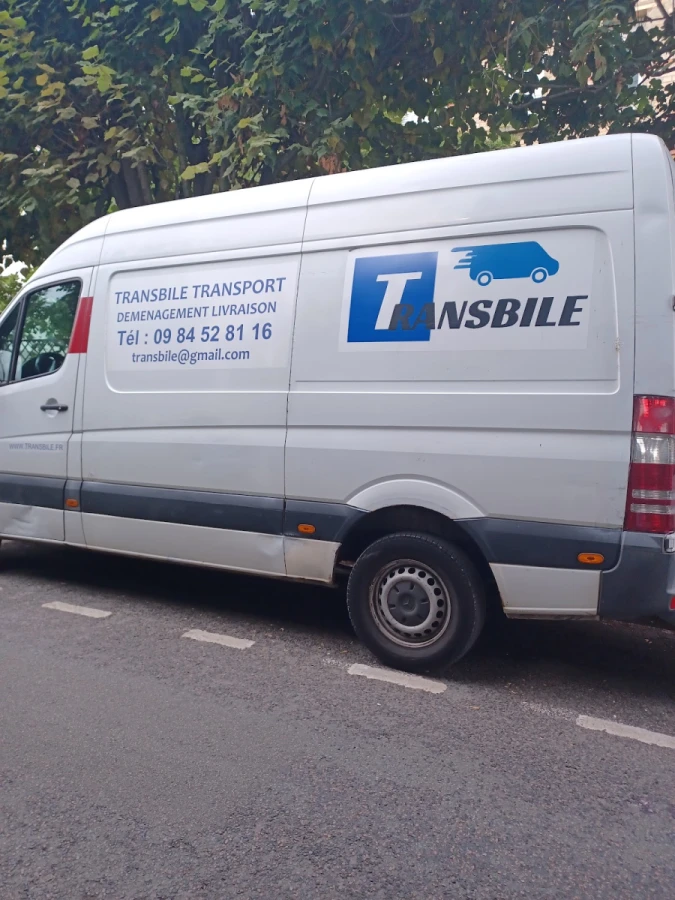 TRANSBILE TRANSPORT_2