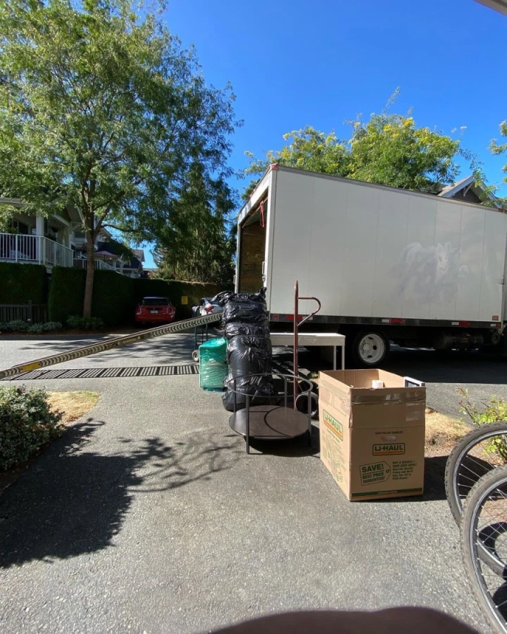 Transparent Moving_4