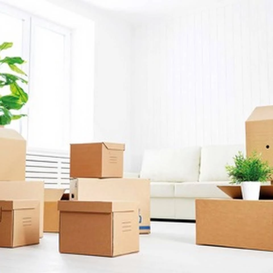 Transporte y Mudanza Madema_1