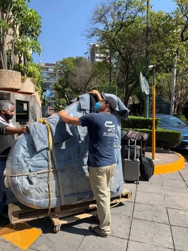 Transporte y Mudanzas Flores_4