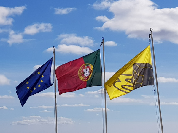 Transportes Beleza_2