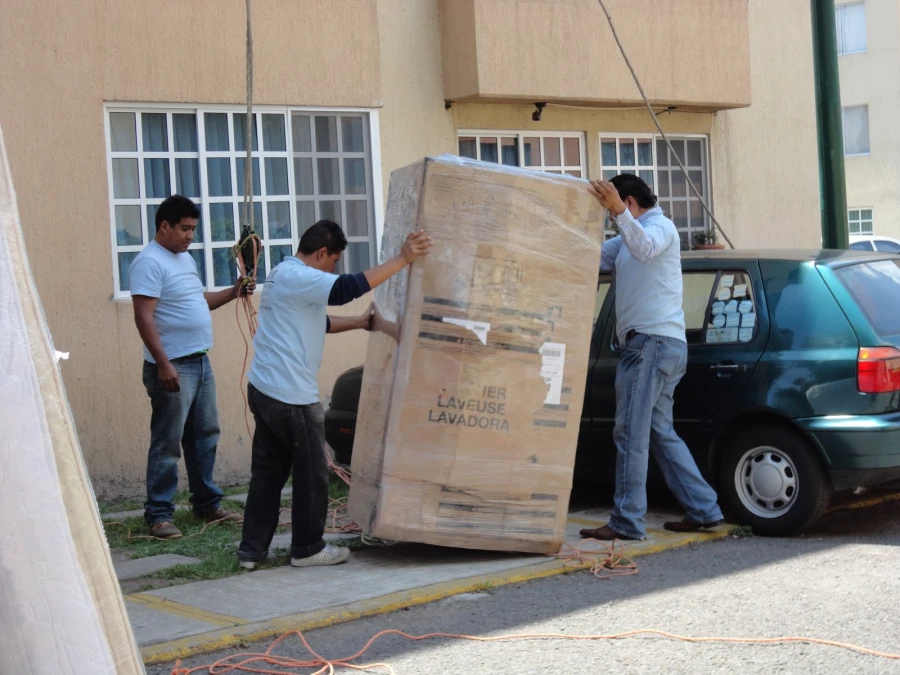 Transportes y Mudanzas México_5