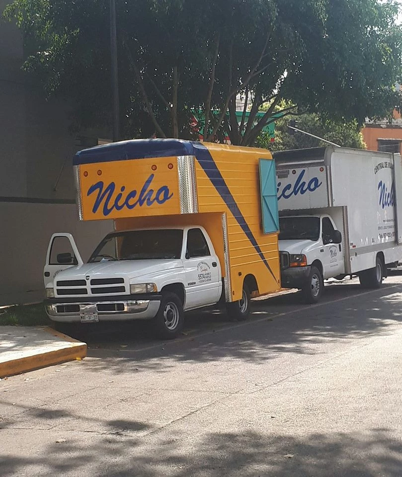 Transportes y Mudanzas Nicho_2