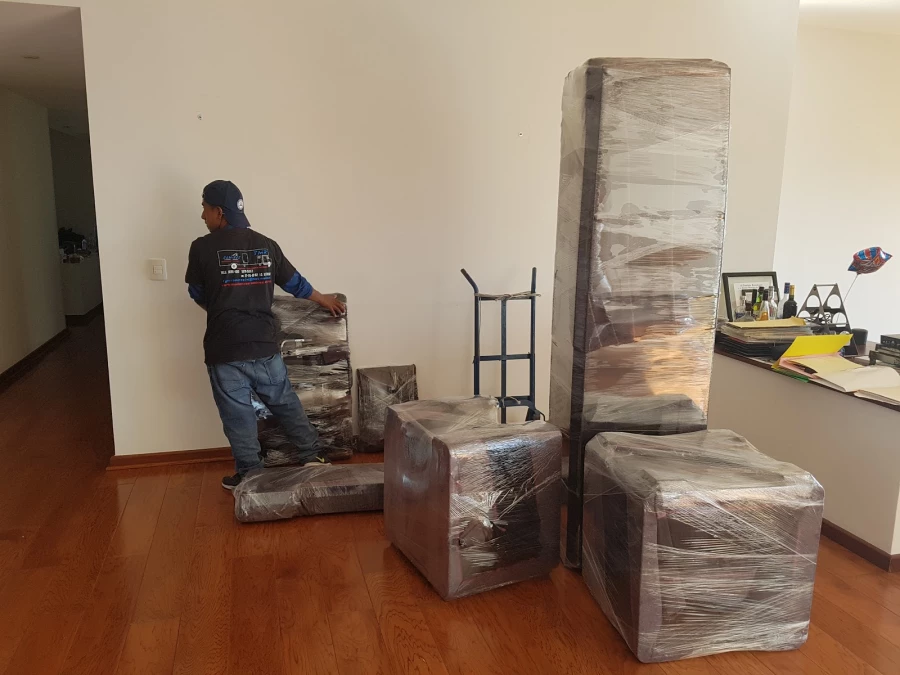 Transportes y Mudanzas Ramírez._2