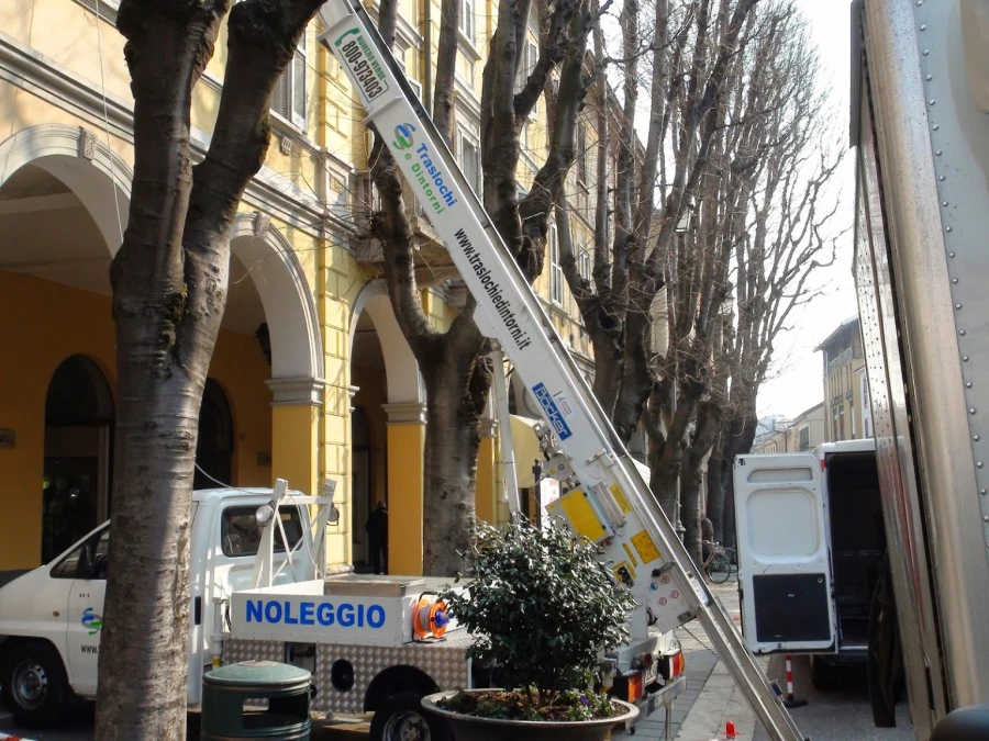 Traslochi e Dintorni Di Airoldi Paolo_2