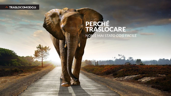 Traslocomodo srl_1