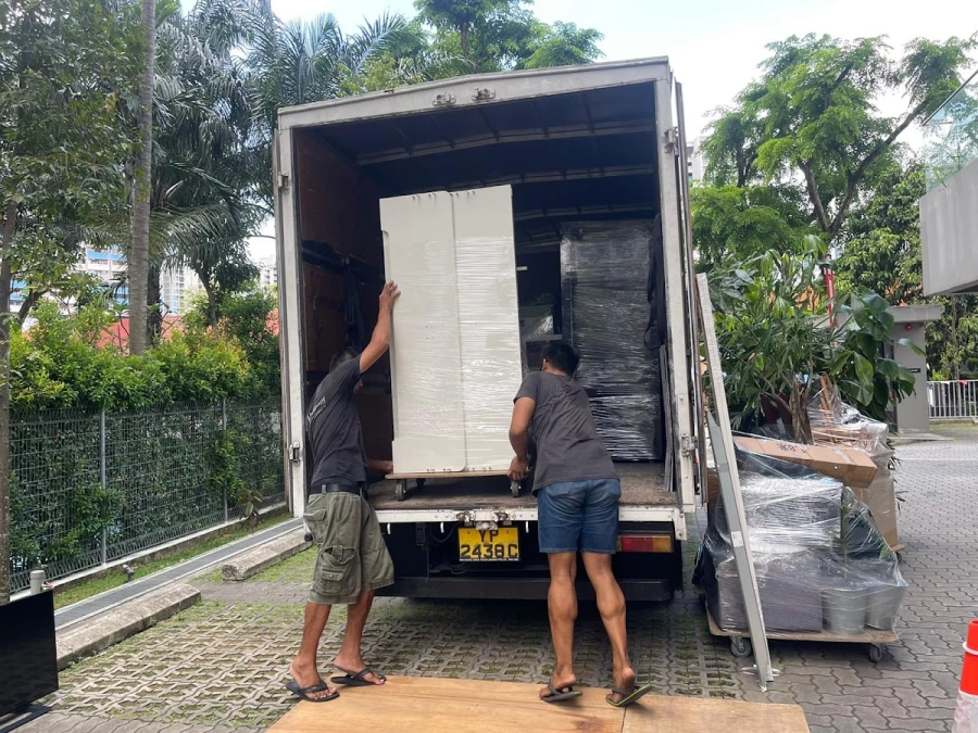 TT Movers_1
