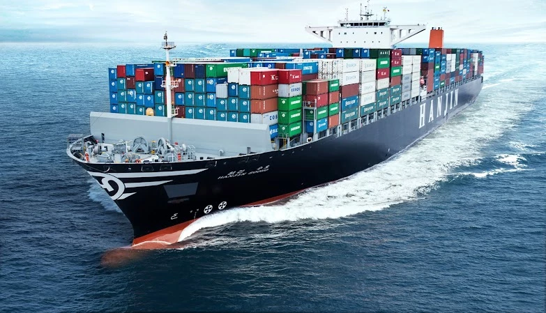 Tucuruvi Mudancas E Transportes LTDA_5