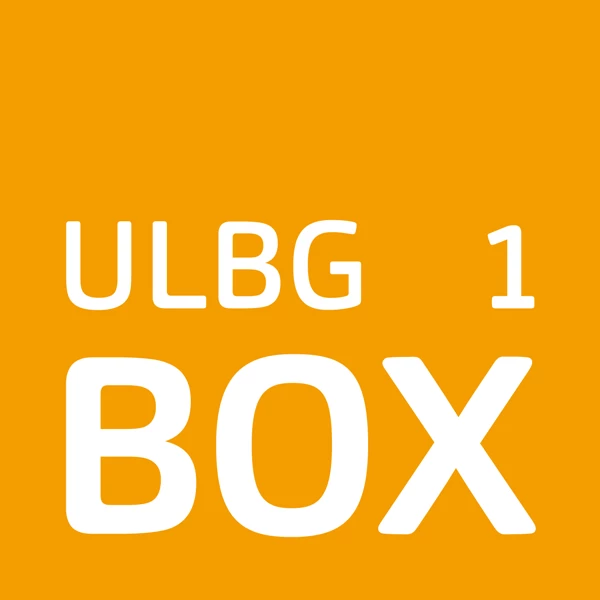 ULBG Umzug-Logistik-Box_1