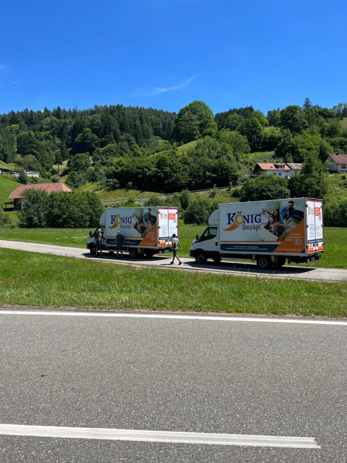 Umzüge König_4