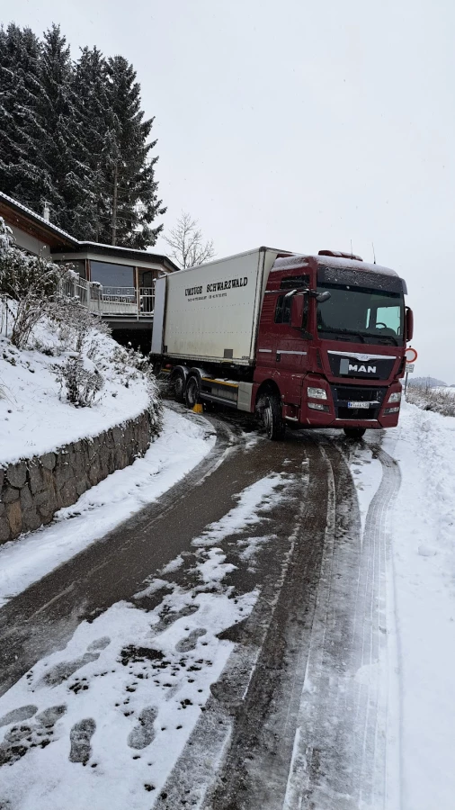 Umzüge Schwarzwald_2