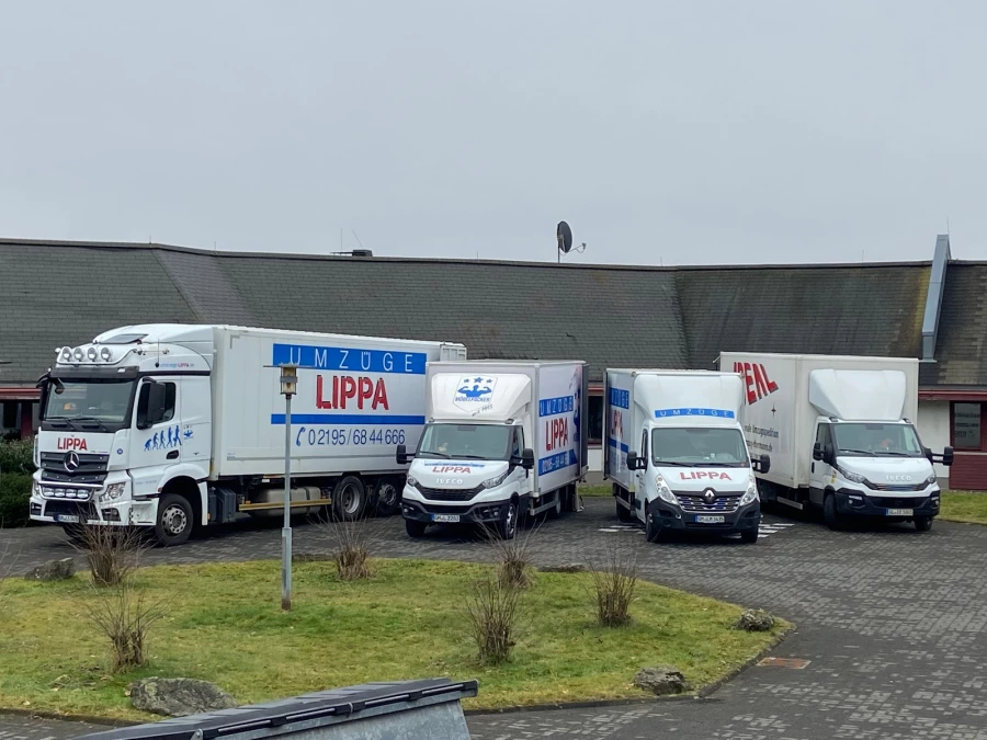 Umzüge U. Lippa_2