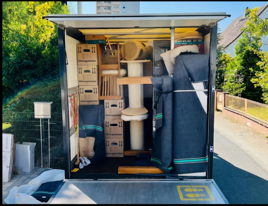 Umzug fast transport_3