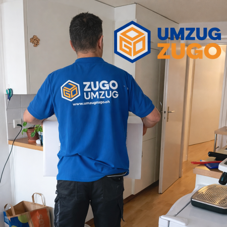 Umzug Zugo_2
