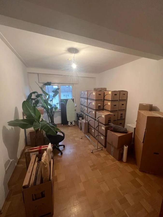 Umzugsfirma Germany_4