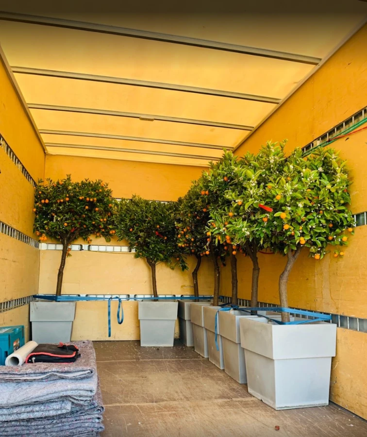 Umzugsfirma mit Herz Köln_2