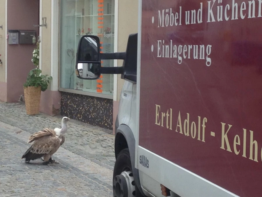 Umzugsservice Ertl_4