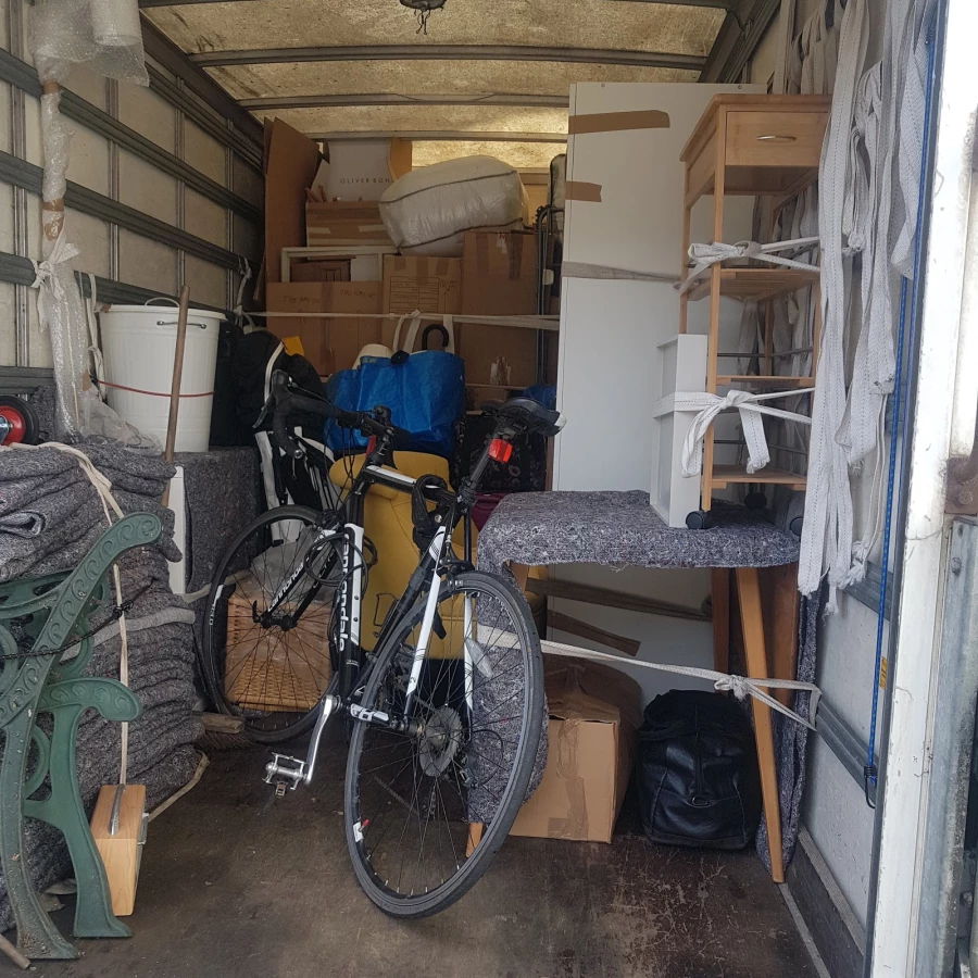 Van Buddies_5