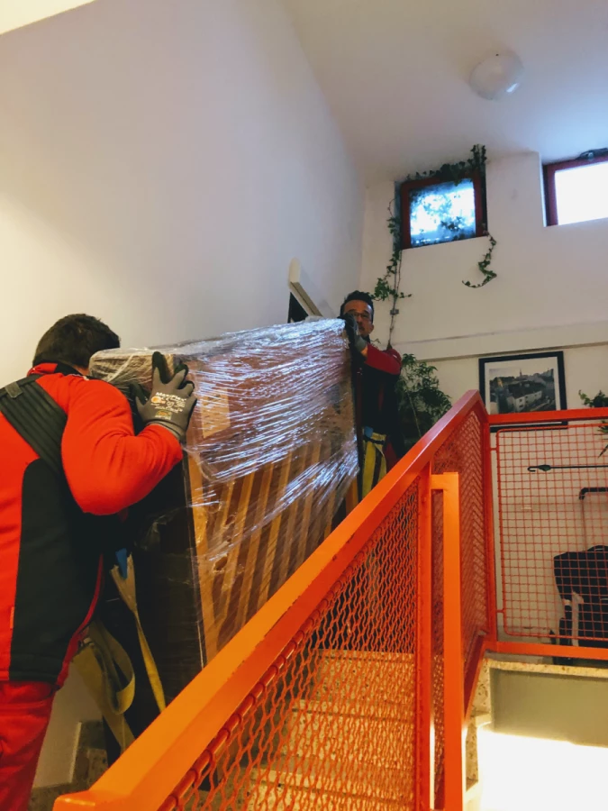 ViennaUmzug - So einfach kann der Umzug sein_1