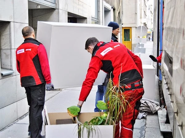 ViennaUmzug - So einfach kann der Umzug sein_3